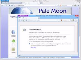 Pale Moon browser displaying a webpage with classic tab and menu interface