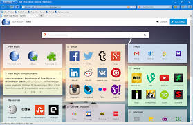 Browser interface with navigation bar and homepage