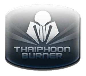 Thaiphoon Burner RAM diagnostics interface on Windows desktop
